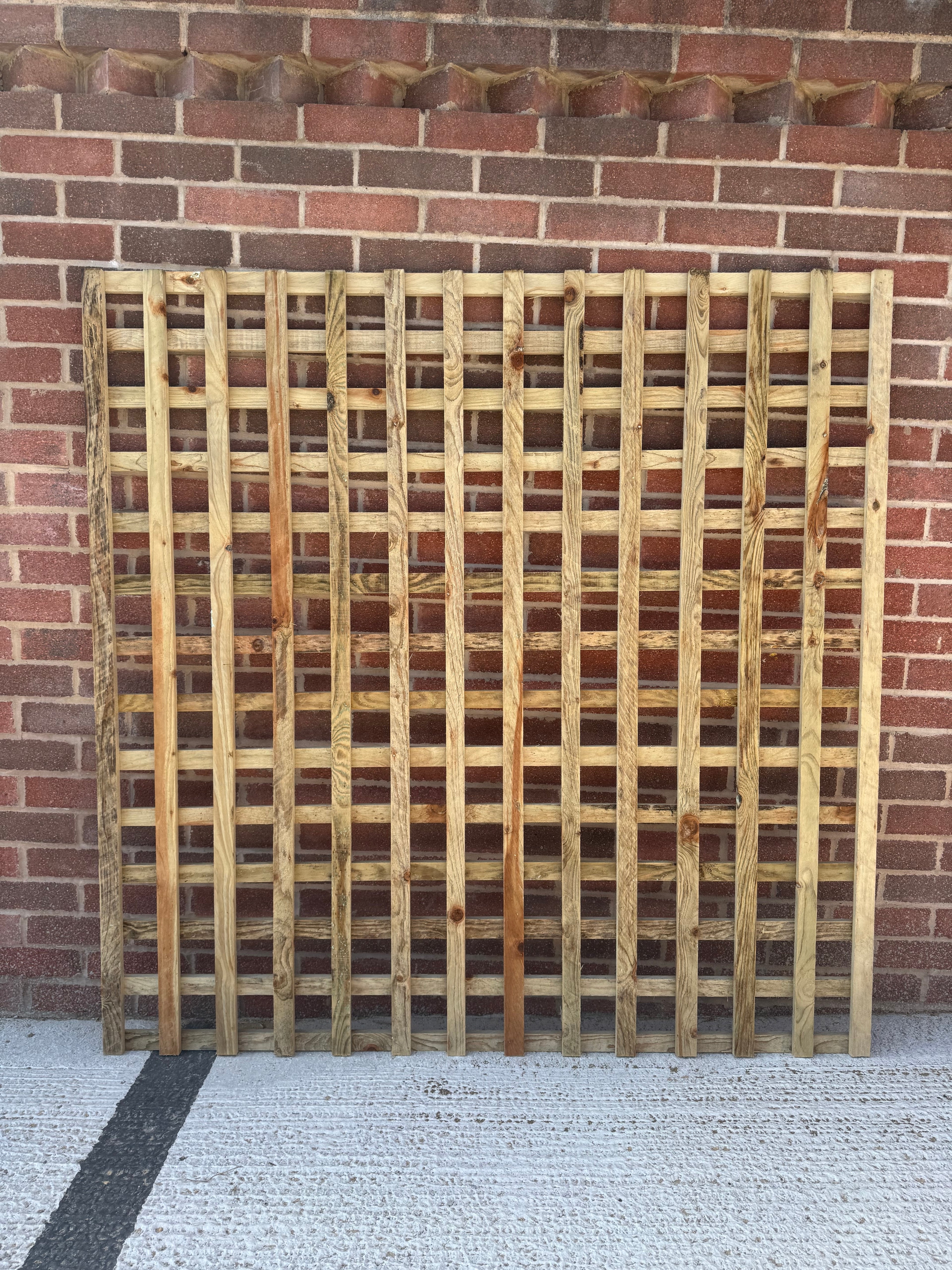 Garden Trellis